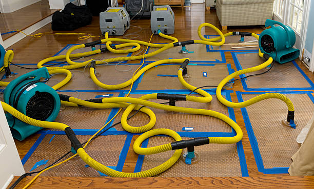 Professional Storm Water Damage Restoration technician working in Booneville, IA